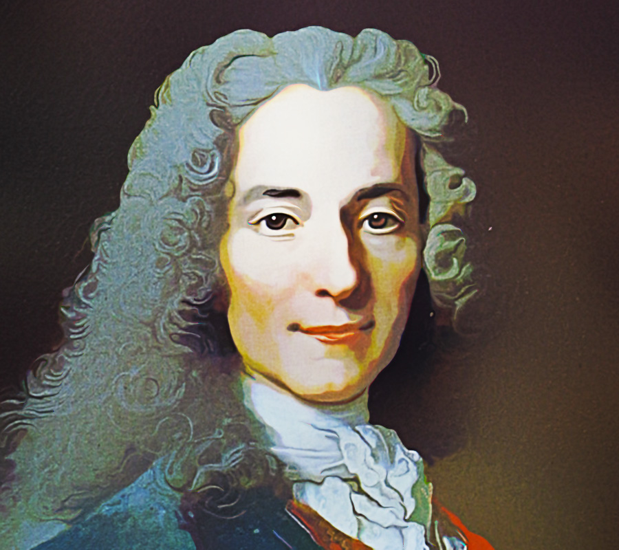177 Inspiring Voltaire Quotes on Government and Personal Freedom ...